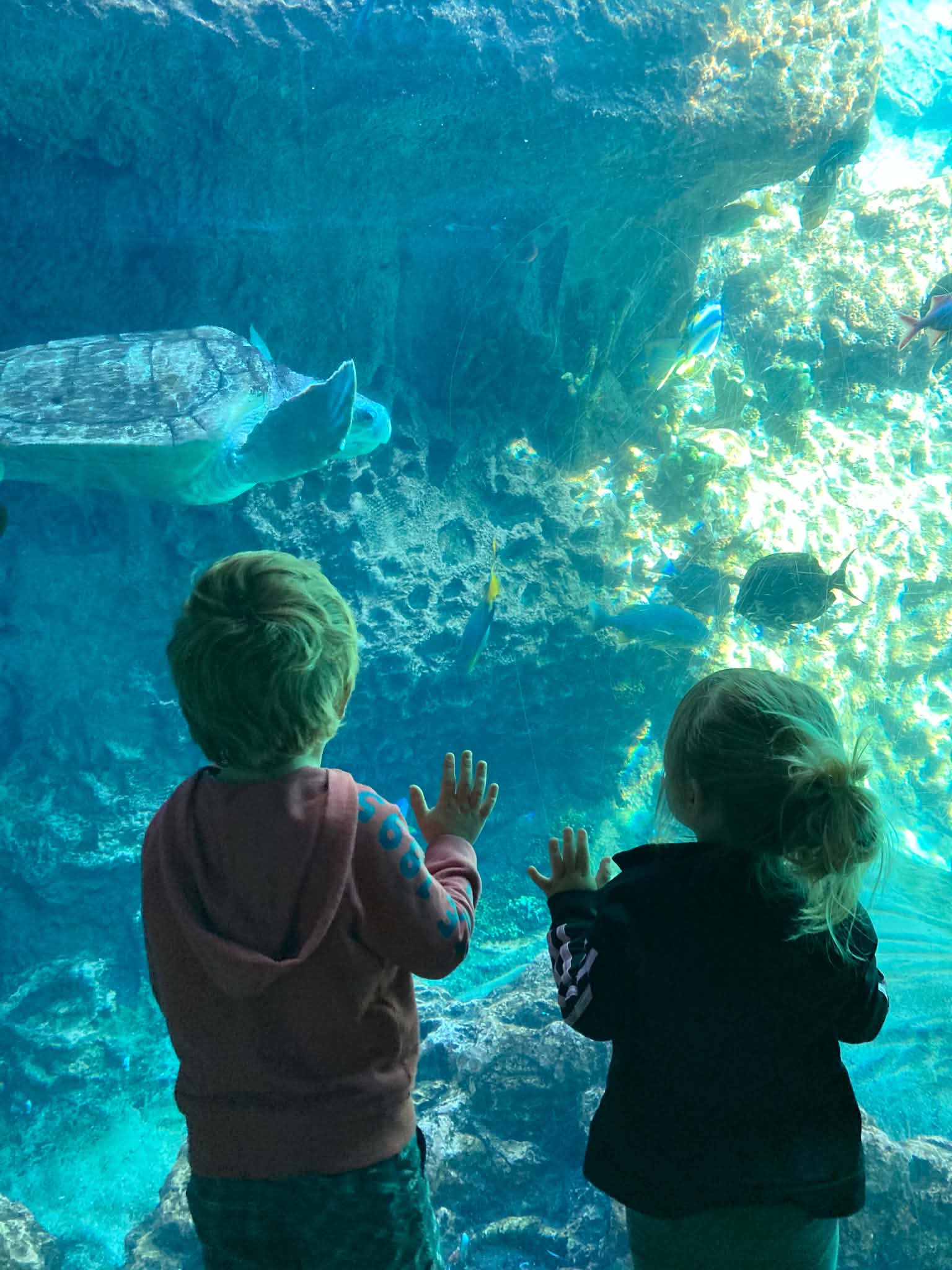 How We Fell In Love With Family Travel